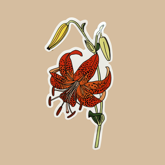 Sticker of a red spotted Martagon Lily with green leaves on a beige background.