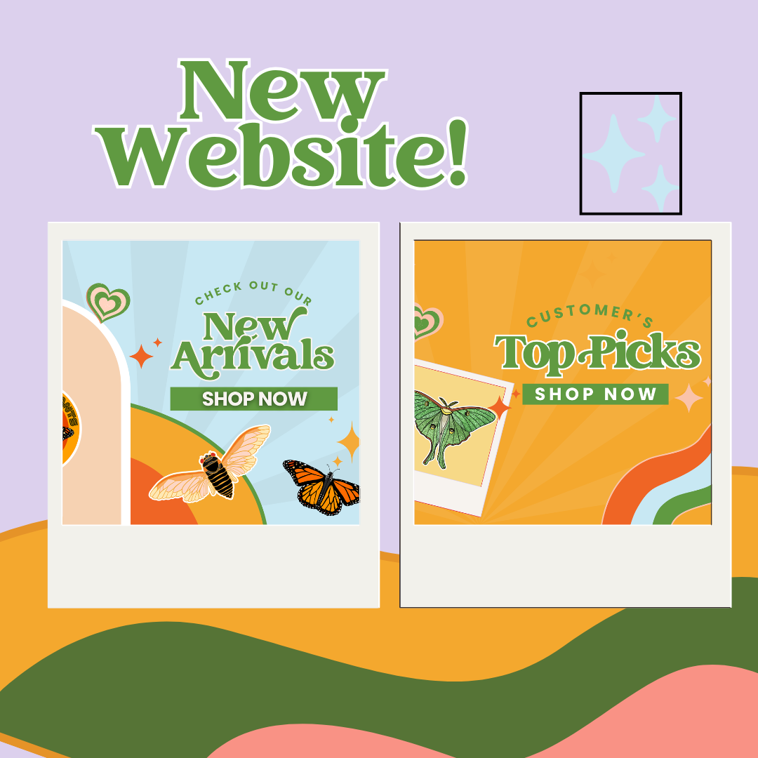 2026 Website Makeover/Life Reset