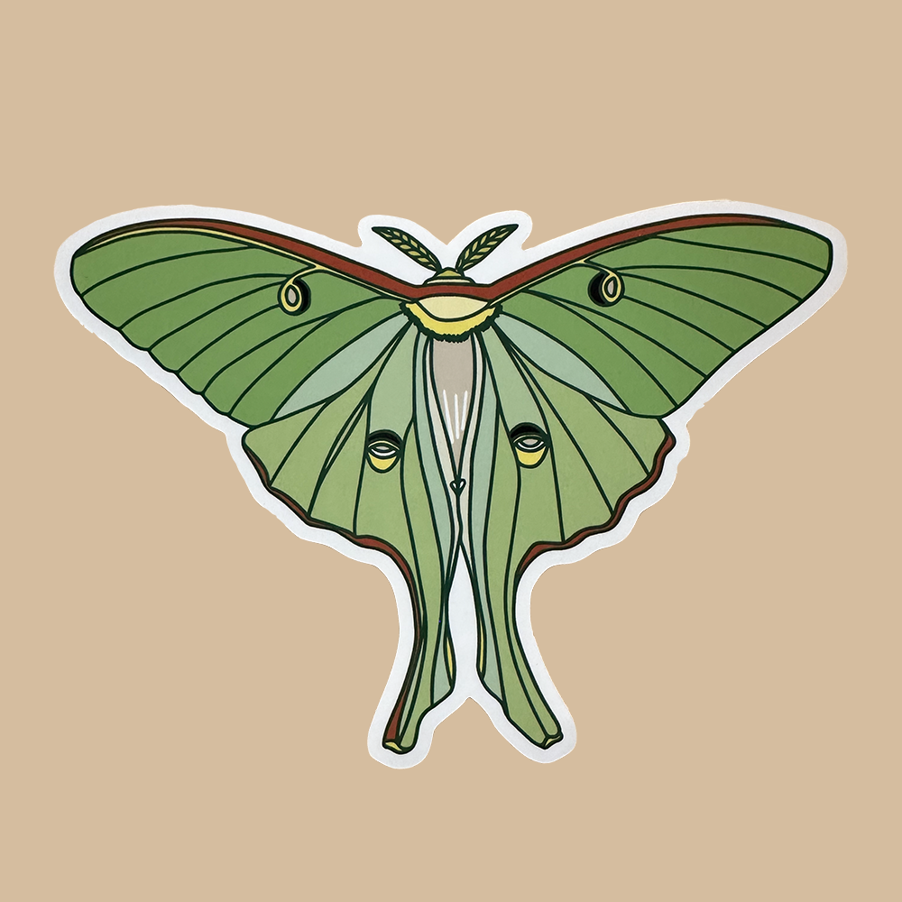 Luna Moth Sticker in shades of Green on beige background