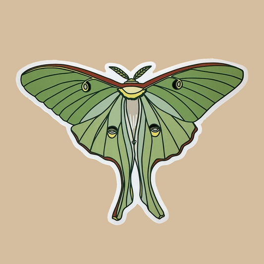 Luna Moth Sticker in shades of Green on beige background