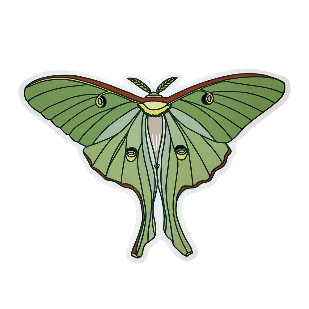 Luna Moth Sticker in shades of green