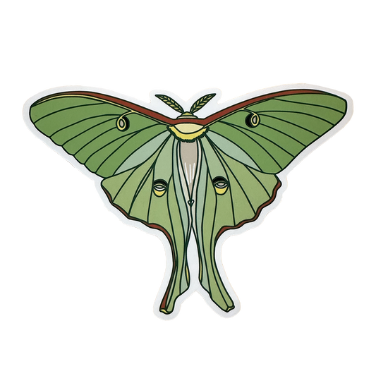 Luna Moth Sticker in shades of green