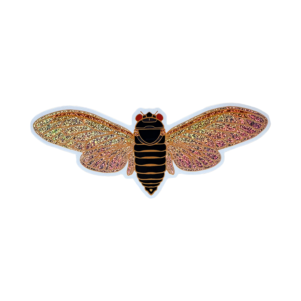 Cicada with glittery wings on a white background