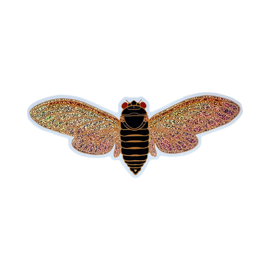 Cicada with glittery wings on a white background