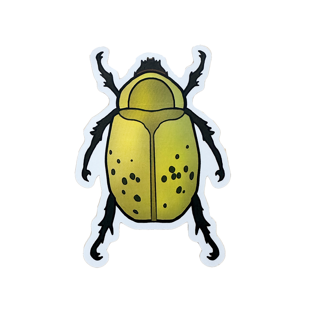 Sticker of a yellow/green beetle with black spots on a white background