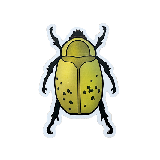 Sticker of a yellow/green beetle with black spots on a white background