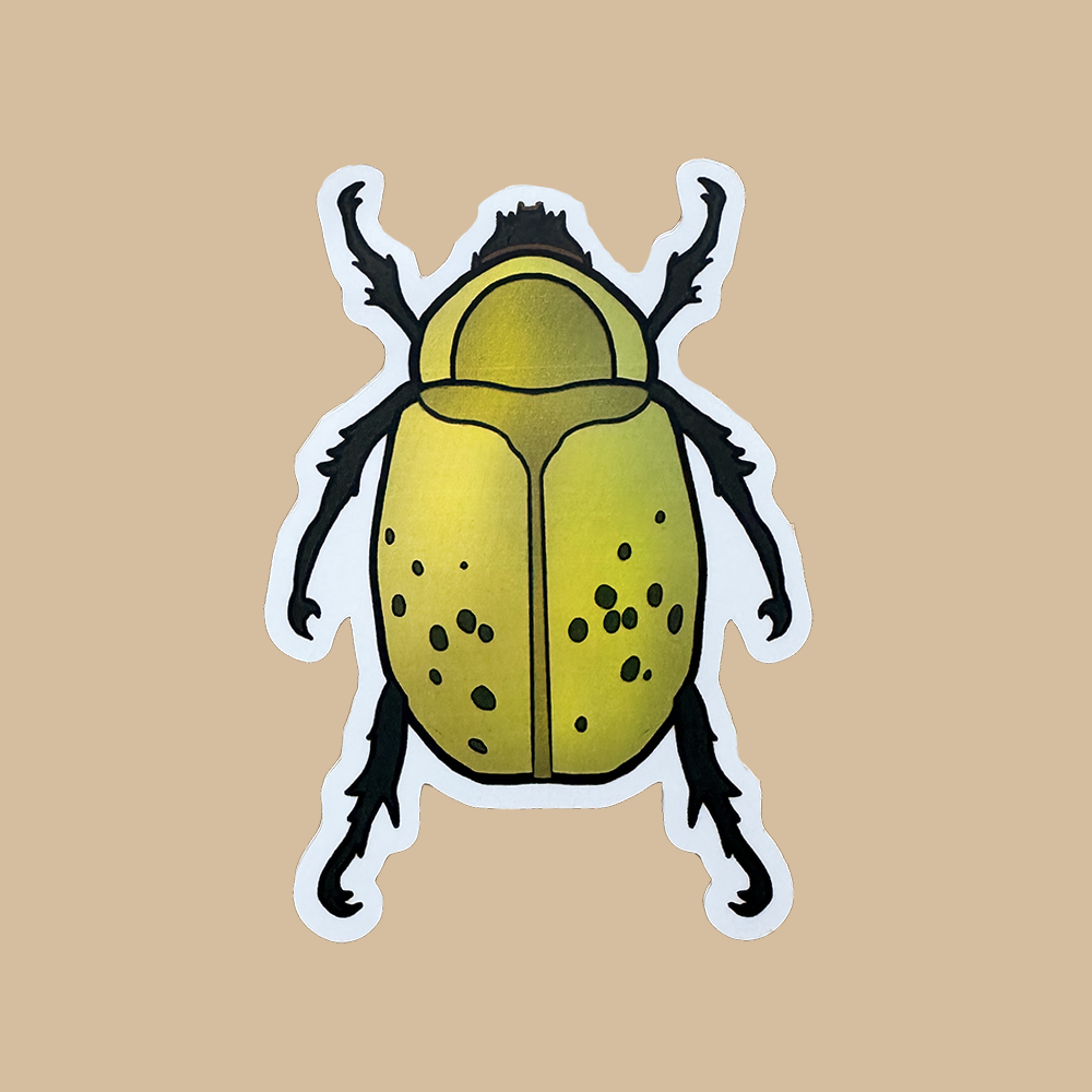 Sticker of a yellow beetle with black spots on a beige background