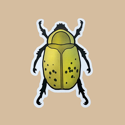 Sticker of a yellow beetle with black spots on a beige background