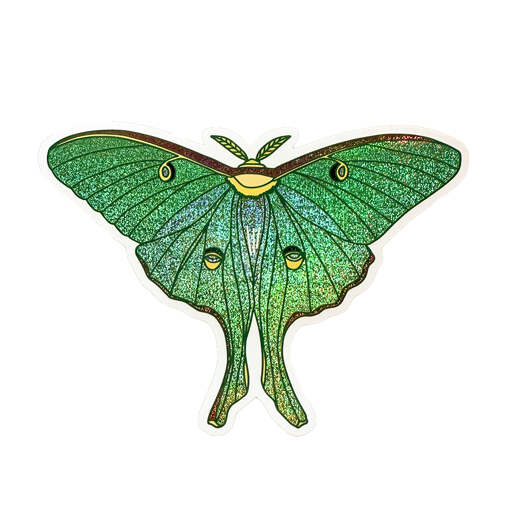 Illustration of a green glittery Luna Moth with a white background.