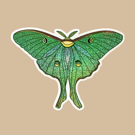 Illustration of a green glittery Luna Moth with a beige background.