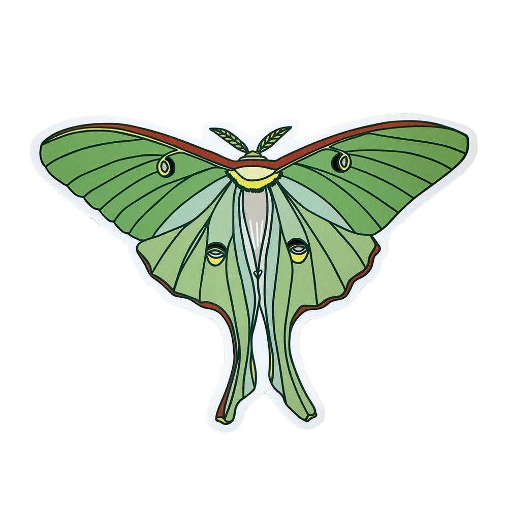 Luna Moth Sticker