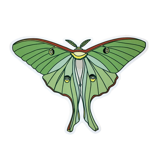 Luna Moth Sticker