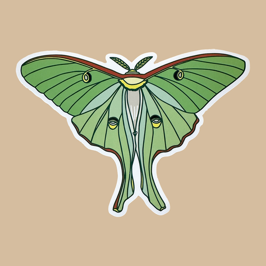 Luna Moth Sticker