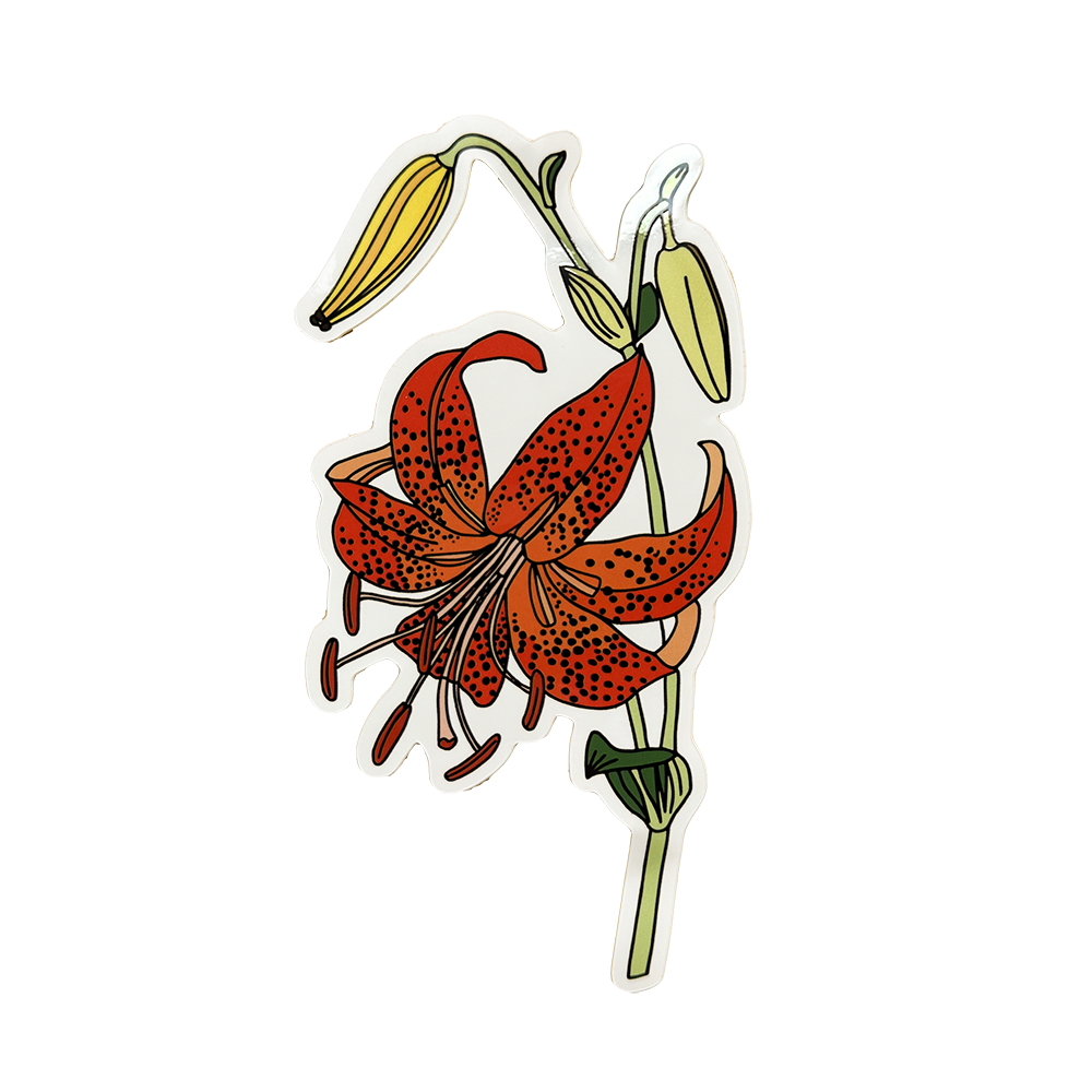 Sticker of a red spotted Martagon Lily with green leaves on a white background.