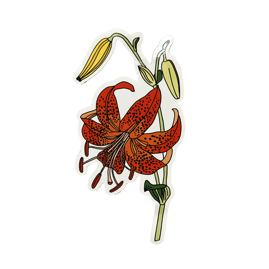 Sticker of a red spotted Martagon Lily with green leaves on a white background.