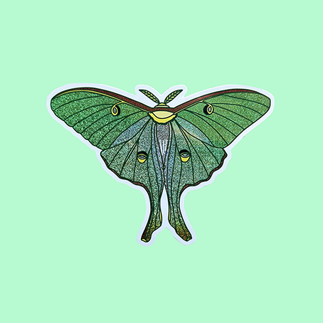 Luna Moth Sticker with Glitter Wings