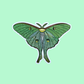 Luna Moth Sticker with Glitter Wings