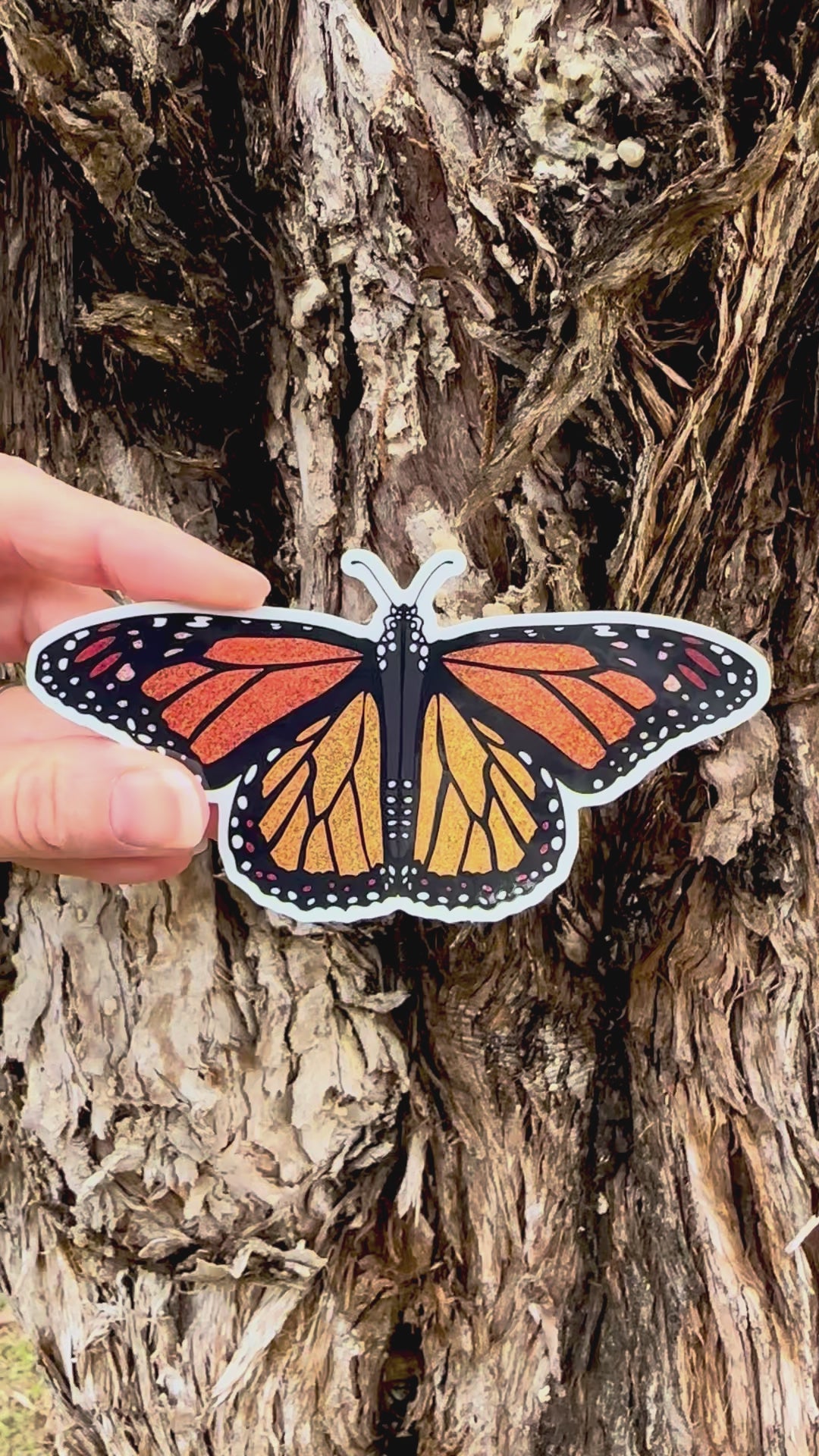 Monarch Butterfly Sticker movement video that shows the light reflecting on the artwork and glitter. 