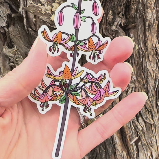 Martagon Lily Sticker movement video to show the light reflecting on the artwork. 