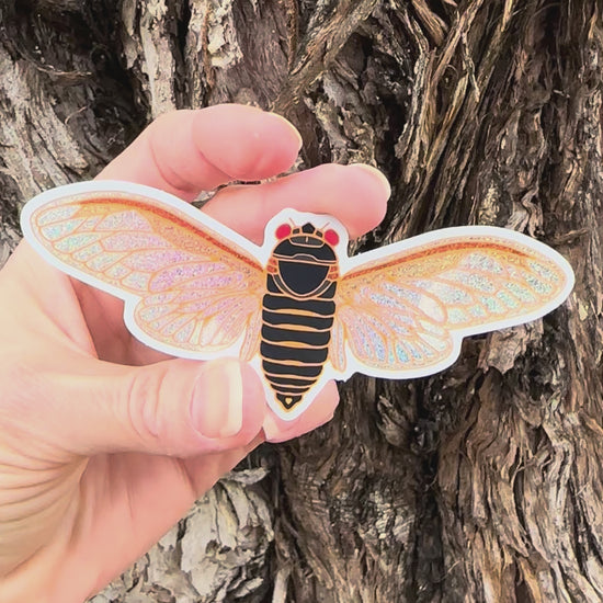 Cicada Sticker with Glitter moved to show the light reflection on the design. 