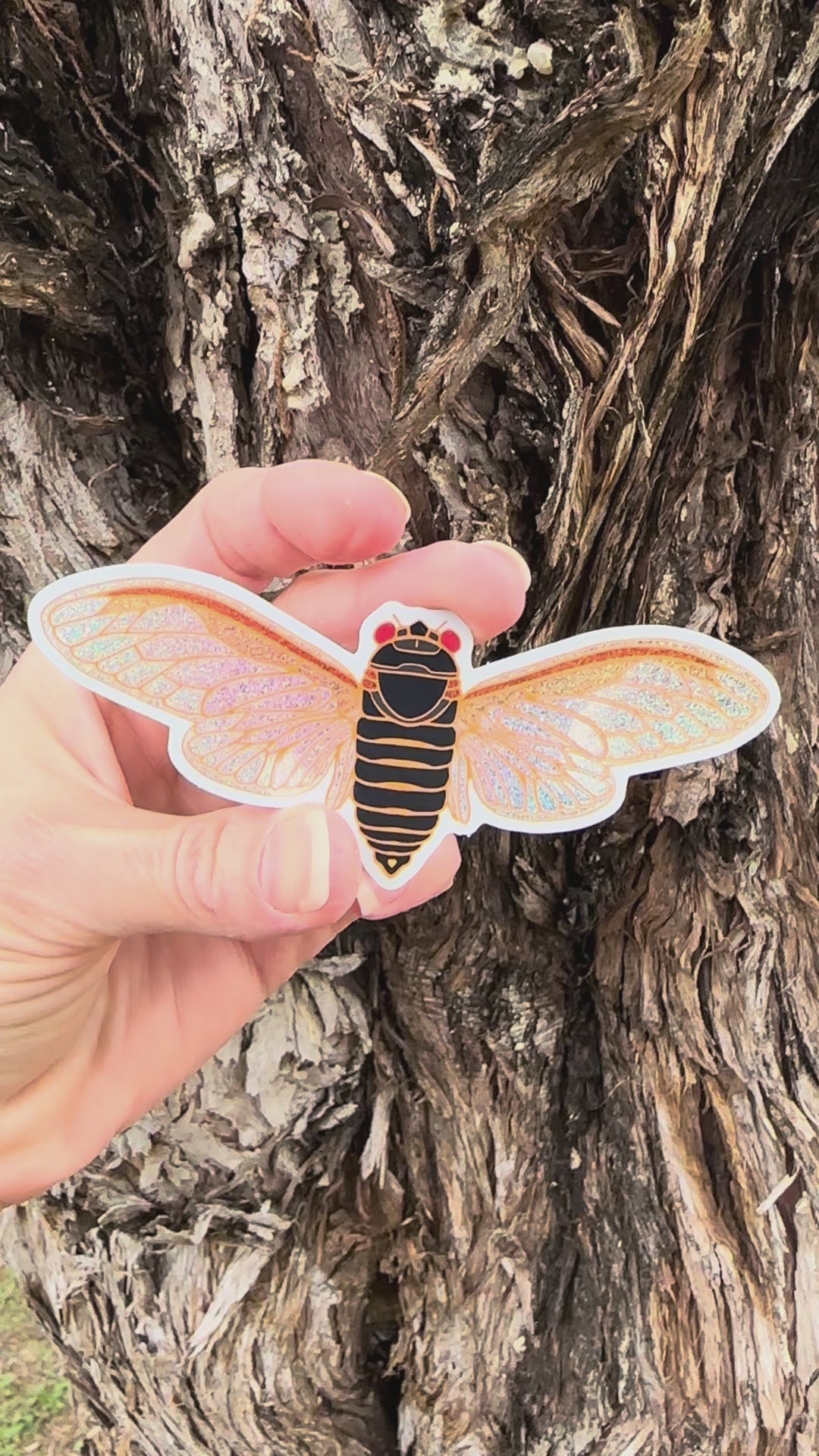 Cicada Sticker with Glitter moved to show the light reflection on the design. 