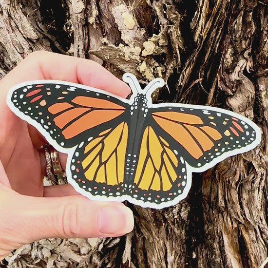 Monarch Butterfly  Sticker movement video that shows the light reflecting on the artwork and Brushed Aluminum Wings. 