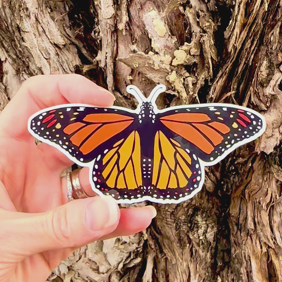 Monarch Butterfly Sticker movement video that shows the light reflecting on the artwork. 