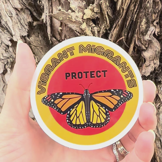 "Vibrant Migrant" Sticker movement video that shows the light reflecting on the artwork. 