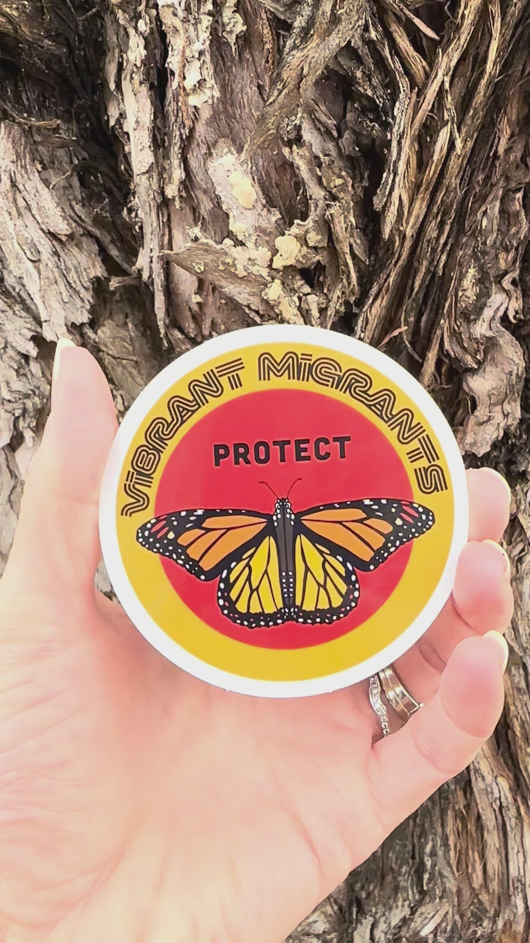 "Vibrant Migrant" Sticker movement video that shows the light reflecting on the artwork. 